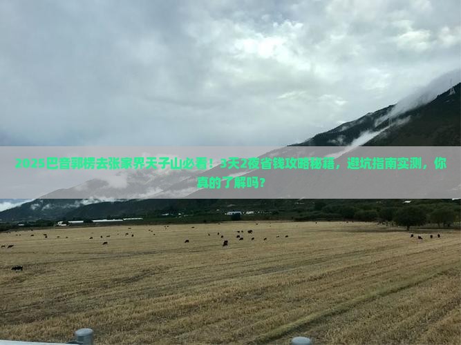 巴音郭楞到张家界天子山旅行社