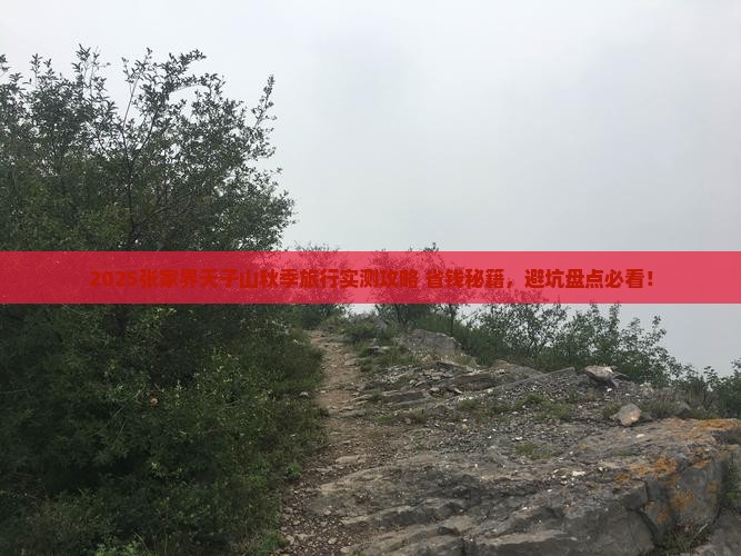 秋天到张家界天子山旅游