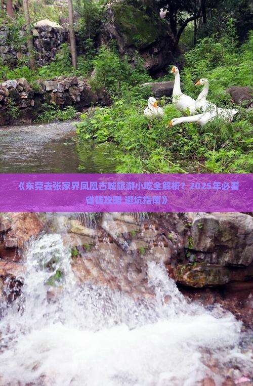东莞去张家界凤凰古城旅游小吃