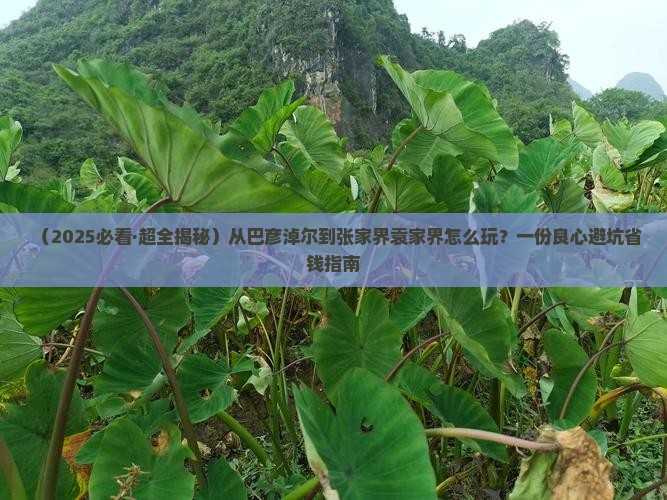 巴彦倬尔到张家界袁家界哪里玩 巴彦倬尔到张家界袁家界哪里玩