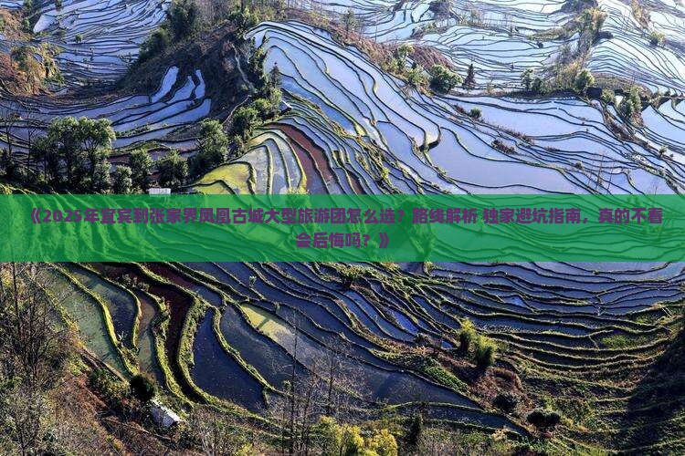 宜宾到张家界凤凰古城大型旅游团