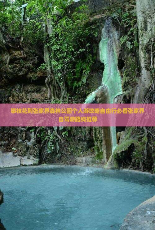 攀枝花到张家界森林公园个人游
