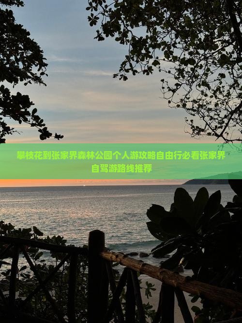 攀枝花到张家界森林公园个人游