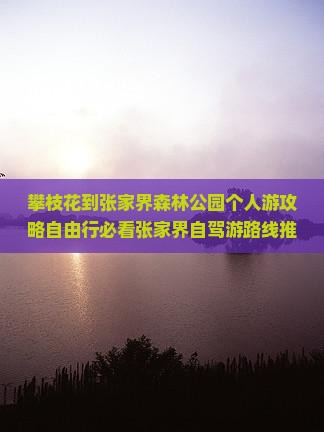 攀枝花到张家界森林公园个人游