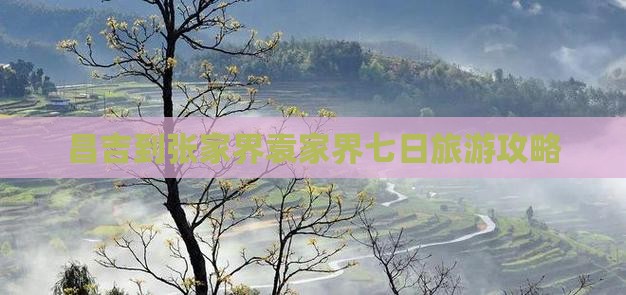 昌吉到张家界袁家界七日游