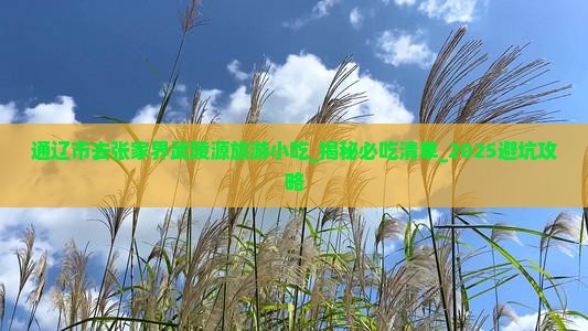通辽市去张家界武陵源旅游小吃