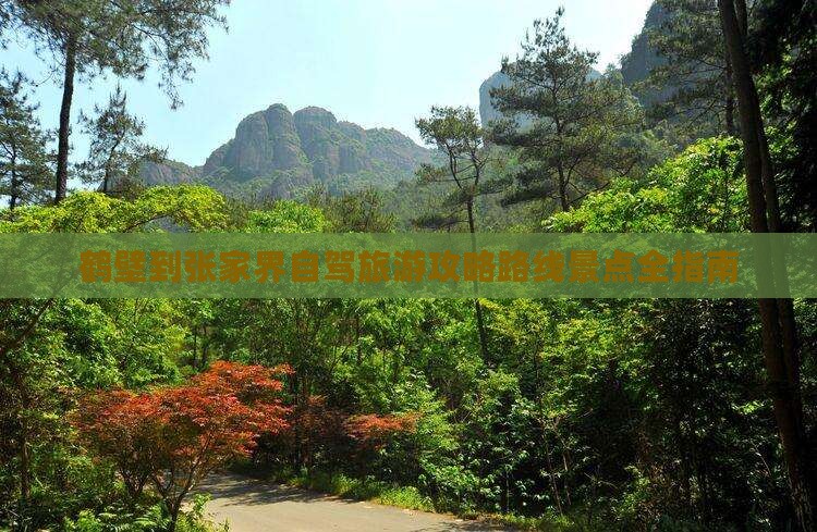 鹤壁到张家界攻略