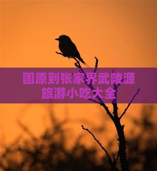 固原到张家界武陵源旅游小吃