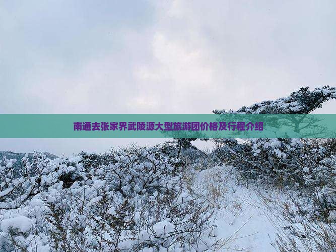 南通去张家界武陵源大型旅游团