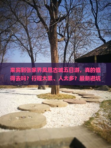 来宾到张家界凤凰古城五日游