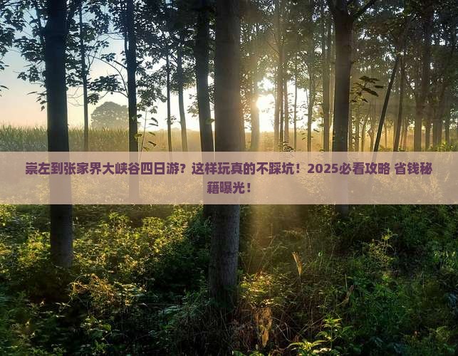 崇左到张家界大峡谷四日游