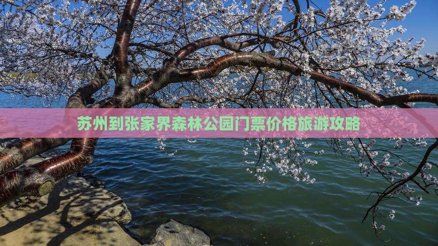 苏州到张家界森林公园门票