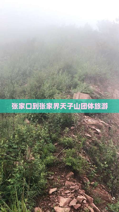 张家口到张家界天子山团体旅游