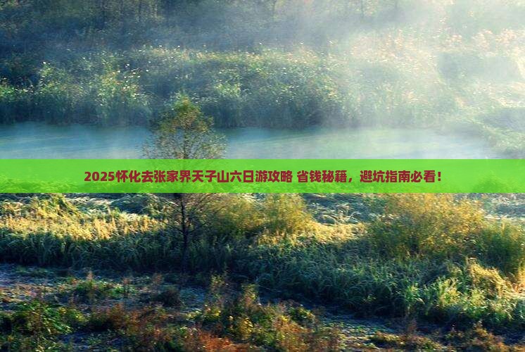 怀化去张家界天子山六日游