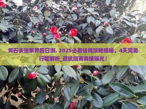 黄石去张家界四日游
