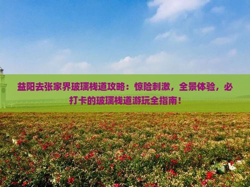 益阳去张家界玻璃栈道攻略