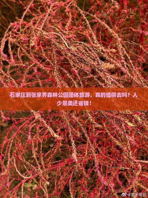 石家庄到张家界森林公园团体旅游