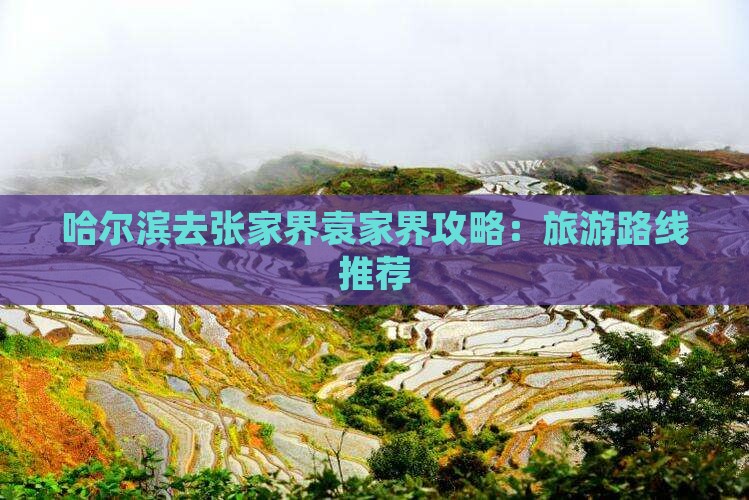 哈尔滨去张家界袁家界哪里玩