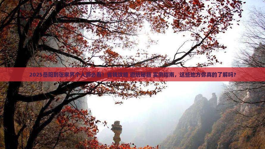 岳阳到张家界个人游