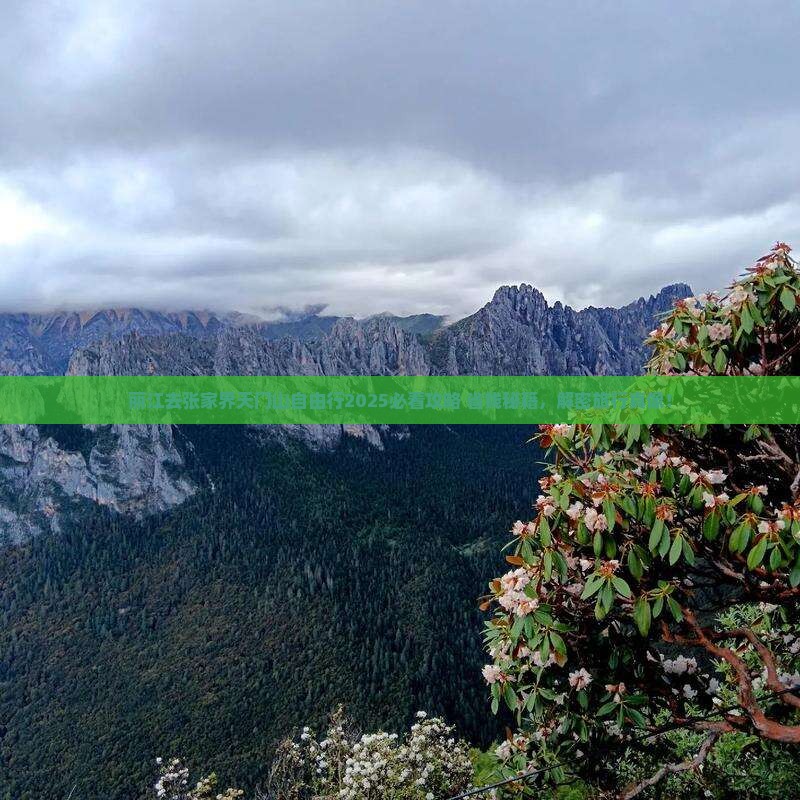 丽江去张家界天门山自由行