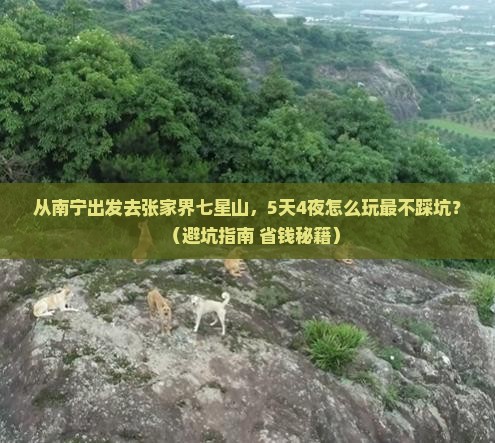 南宁到张家界七星山旅游