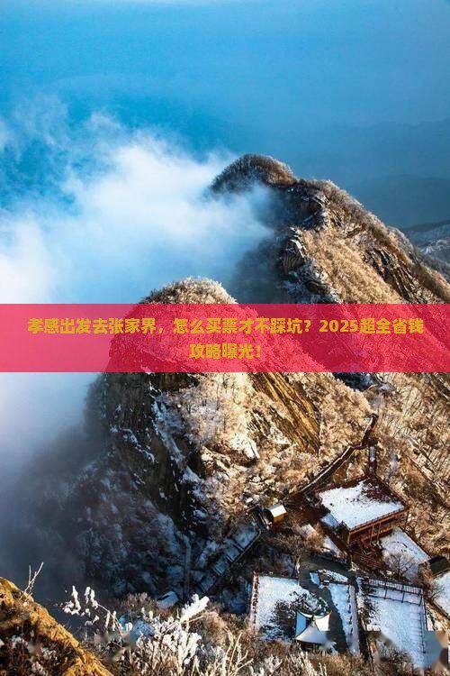 孝感去张家界门票