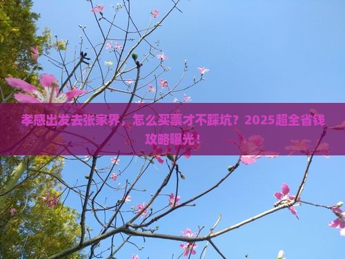孝感去张家界门票