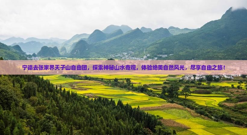 宁德去张家界天子山自由团