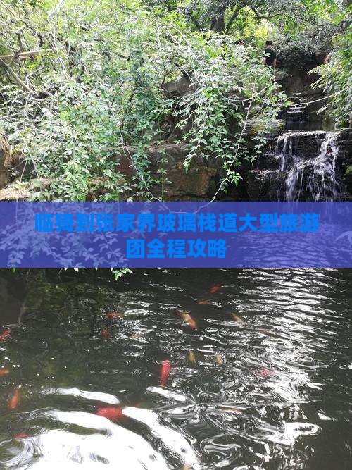 临猗到张家界玻璃栈道大型旅游团