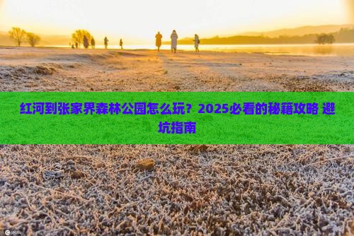 红河到张家界森林公园旅游