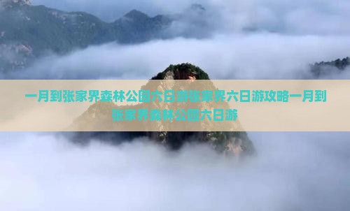 一月到张家界森林公园六日游