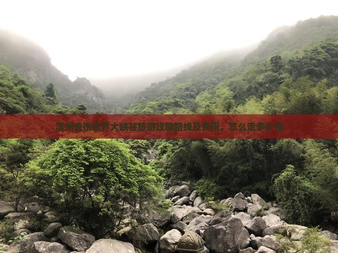 滨州去张家界大峡谷旅游