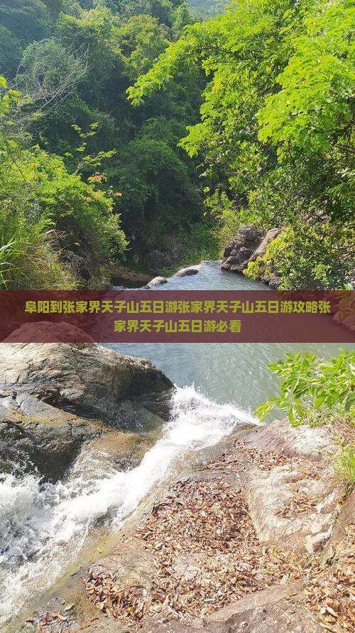 阜阳到张家界天子山五日游