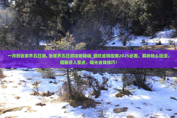 一月到张家界五日游