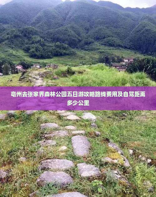亳州去张家界森林公园五日游