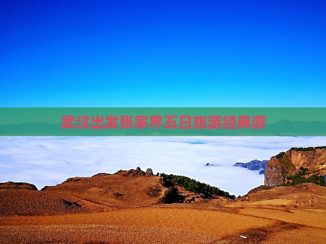 武汉去张家界森林公园五日游