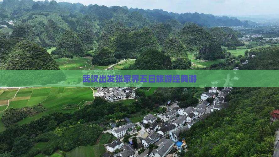武汉去张家界森林公园五日游