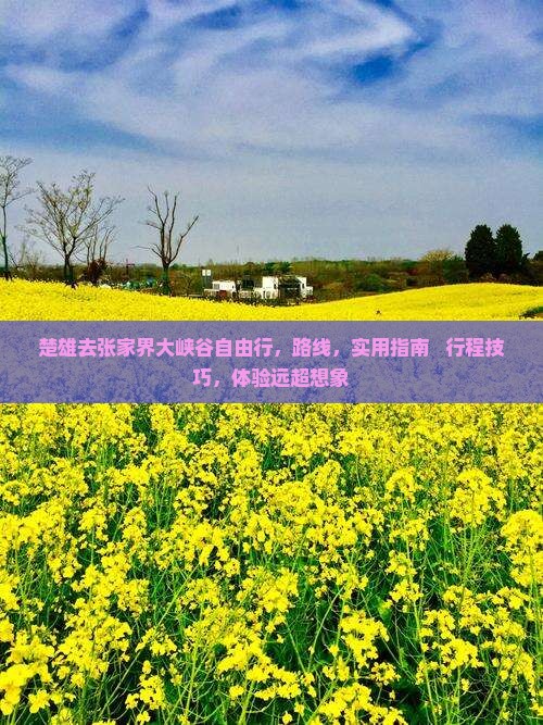 楚雄去张家界大峡谷自由行