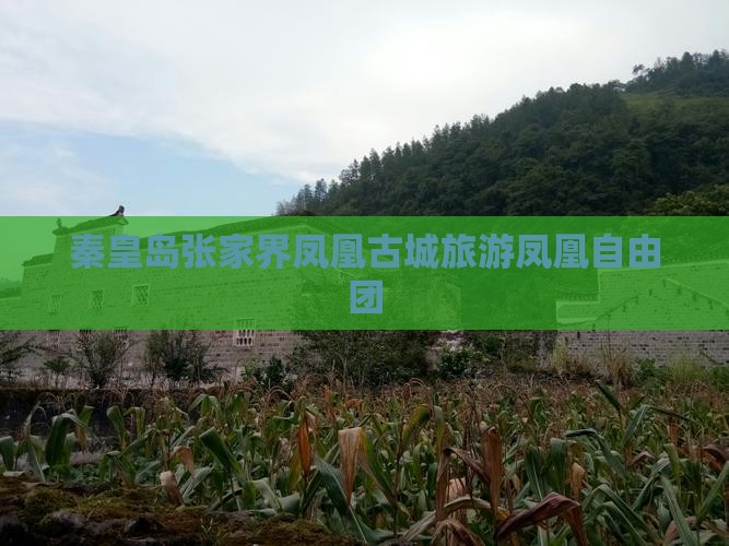 秦皇岛去张家界凤凰古城自由团