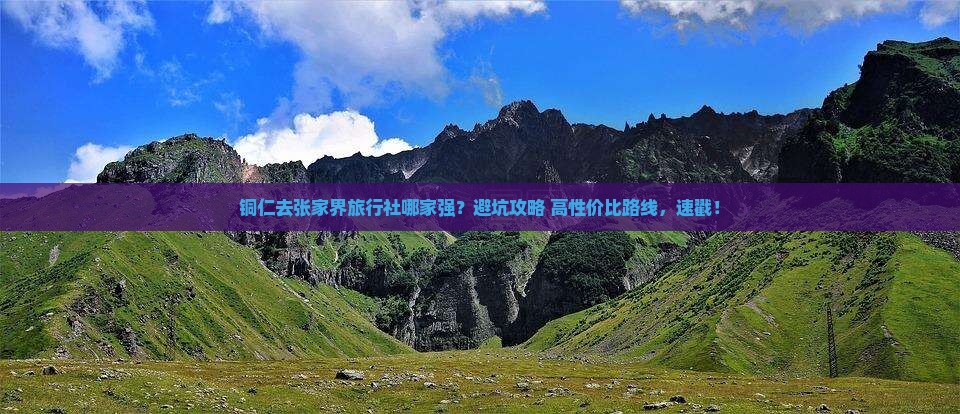 铜仁去张家界旅行社