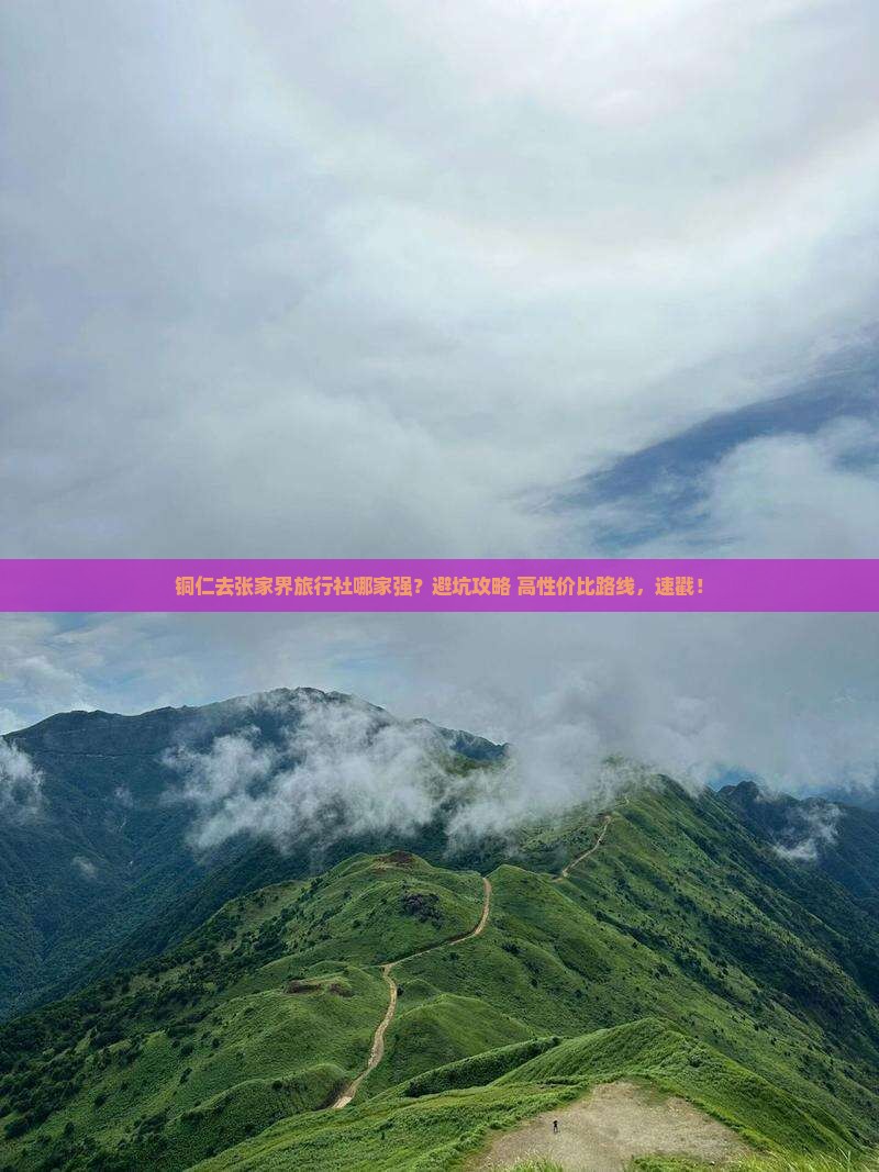 铜仁去张家界旅行社