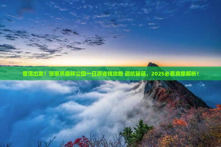 普洱去张家界森林公园一日