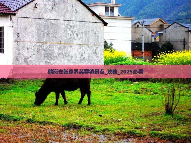 鹤岗去张家界芙蓉镇景点