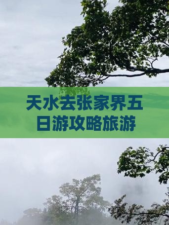 天水去张家界五日游