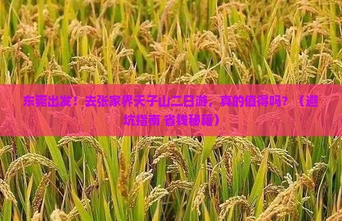 东莞去张家界天子山二日游