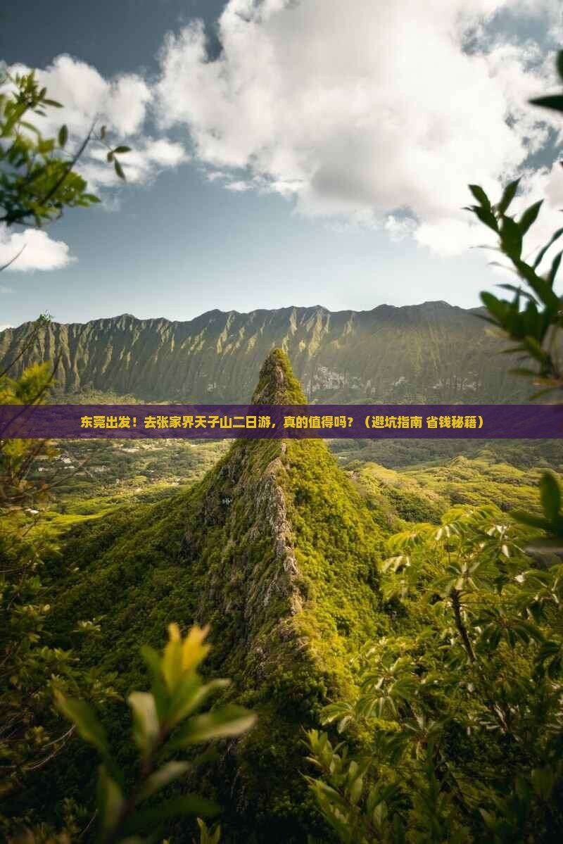 东莞去张家界天子山二日游
