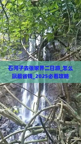 石河子去张家界二日游