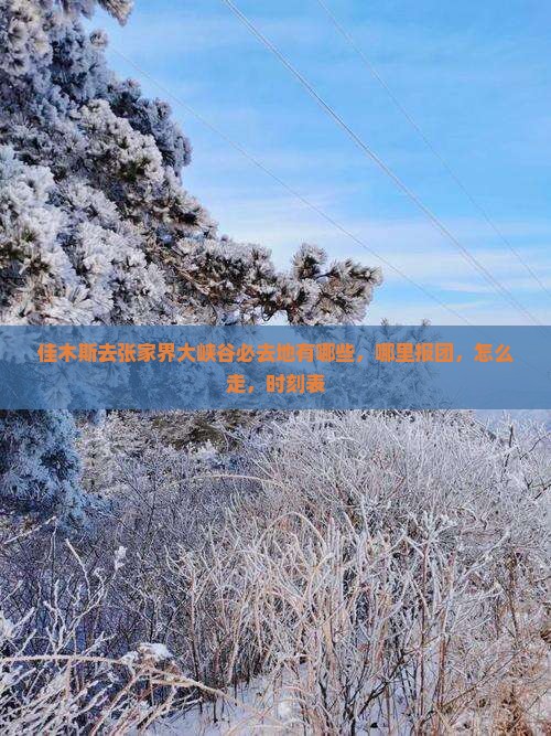 佳木斯去张家界大峡谷必去地