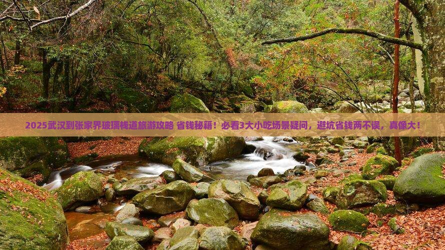 武汉到张家界玻璃栈道旅游小吃