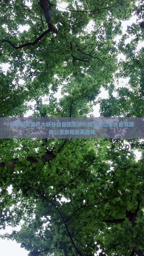 蚌埠到张家界大峡谷自由团